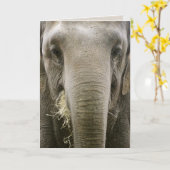 グリーティングカード「覚えている」 カード (黄色い花)