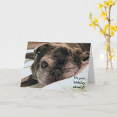 グリーティングカード：誕生日は既に？ カード (黄色い花)