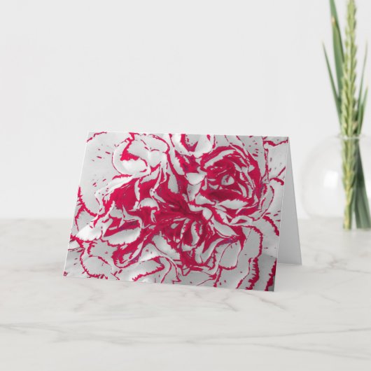 グリーティングカード – 赤と白のカーネーション (正面)