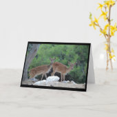 グリーティングカード 鹿- 誕生日カード 鹿 (黄色い花)