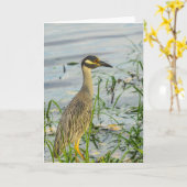 グリーティングカード – 黄色の冠をかぶったナイトヘロン (黄色い花)