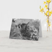 グリーティングカード – Admiral Butterfly in Black & White (黄色い花)