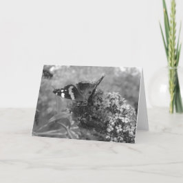 グリーティングカード – Admiral Butterfly in Black & White