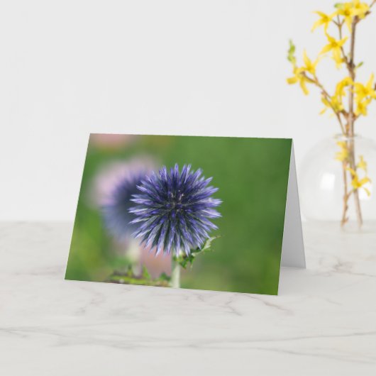 グリーティングカード – Blue Globe Thistle (黄色い花)