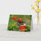 グリーティングカード – Butterfly in Garden in Stowe (黄色い花)