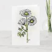 グリーティングカード – NGA水彩 – 白デイジー (正面)