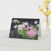 グリーティングカード – Pink Spirea with Bee (黄色い花)