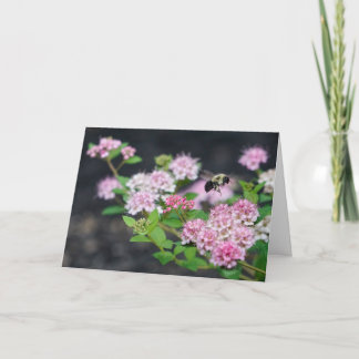 グリーティングカード – Pink Spirea with Bee