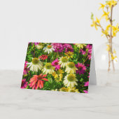 グリーティングカード – Portsmouthのエキナセア (黄色い花)