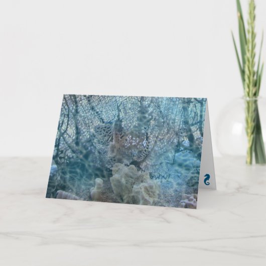 グリーティングカード – Seascape Serenade (正面)