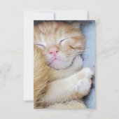 グリーティングカード – Sleeping Kiten サンキューカード (正面)