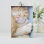 グリーティングカード – Sleeping Kiten サンキューカード (スタンド正面)