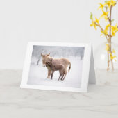 グリーティングカード: Snowy Donkeys Card カード (黄色い花)