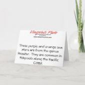 グリーティングカード： Starfish カード (裏面)