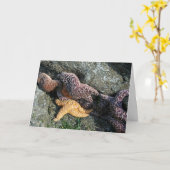 グリーティングカード： Starfish カード (黄色い花)