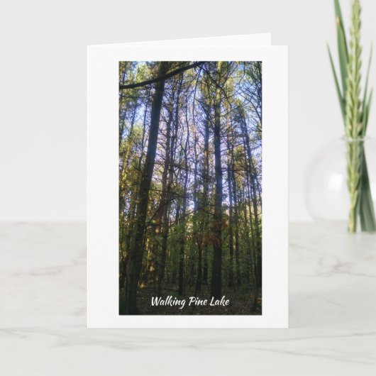 グリーティングカード – Summer Walk on Pine Lake (正面)