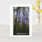 グリーティングカード – Summer Walk on Pine Lake (黄色い花)