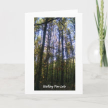 グリーティングカード – Summer Walk on Pine Lake