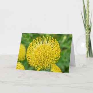 グリーティングカード- Yellow Protea at Kirstenbosch カード