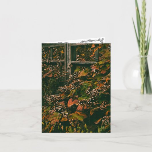 グリーティングカー空白のドの内部紅葉 サンキューカード (正面)