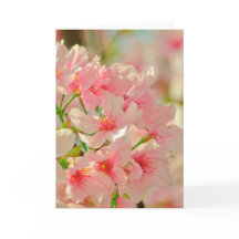 グリーティングカー空白のド