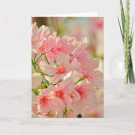 グリーティングカー空白のド カード