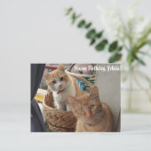 グリーティングバースデーフラットカード ポストカード (スタンド正面)