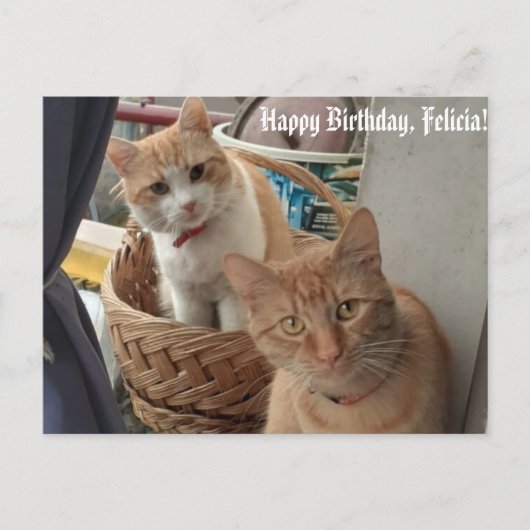 グリーティングバースデーフラットカード ポストカード (正面)