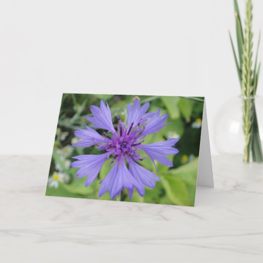 グリーティングマップ(青いコーンフラワー、形空白のは カード (正面)