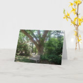 グリーティングリラックスカードの陰気な場所 カード (黄色い花)