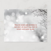 グリーティング写真数々の家族のクリスマスポストカード シーズンポストカード (裏面)