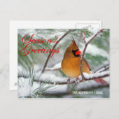 グリーティング – 北(鳥)ショウジョウコウカンチョウの松の木 ポストカード (正面/裏面)