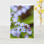 グリーティン忘れグカードのLadybug on 空白の-me-not カード (黄色い花)