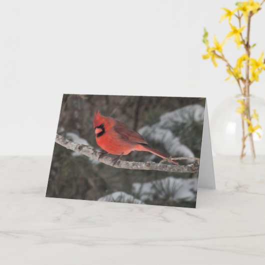 グリーティン疑問に思グカ静かード(オス)の(鳥)ショウジョウコウカンチョウ カード (黄色い花)