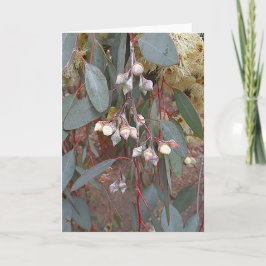 グリーティン空白のグカード – ガムナッツ カード