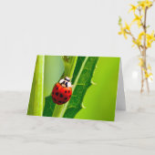 グリーティン静かグ疑問に思カードLadybug カード (黄色い花)