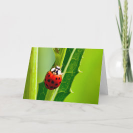 グリーティン静かグ疑問に思カードLadybug カード