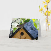 グリーティン静かグ疑問に思カードWren カード (黄色い花)