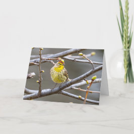 グリーティ空白のングカードウォーブラー カード