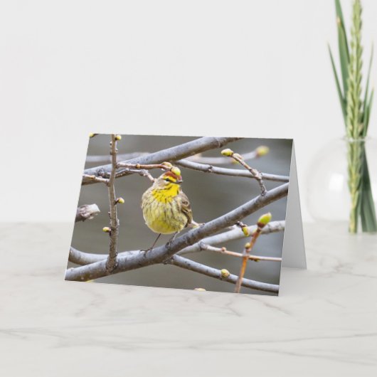 グリーティ空白のングカードウォーブラー カード (正面)