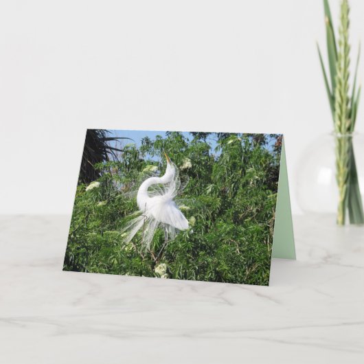 グリーティ素晴らしングカード カード (正面)