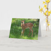 グリーテ空白のィングカードのFAWN カード (黄色い花)