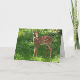 グリーテ空白のィングカードのFAWN カード