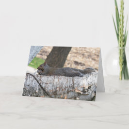 グリーテ空白のィングカードリス カード