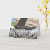 グリーテ空白のィングカードリス カード (黄色い花)