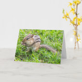 グリーテ空白のィングカード欠損 カード (黄色い花)