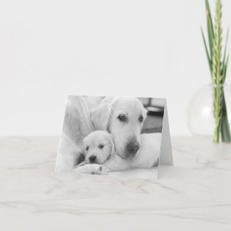 グリーテ空白のィングカード サンキューカード