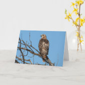 グリーテ空白のィングカードHawk カード (黄色い花)