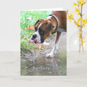 グリーテ間抜けィングカードを出すボクサー犬の舌 カード (黄色い花)