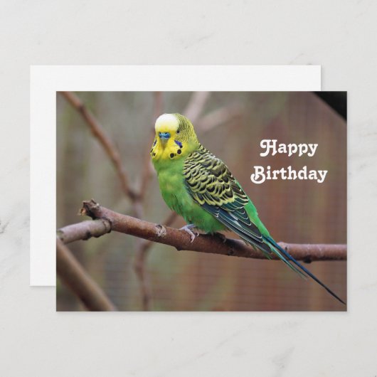 グリーンかわいらしParaketフォト誕生日 ポストカード (正面/裏面)